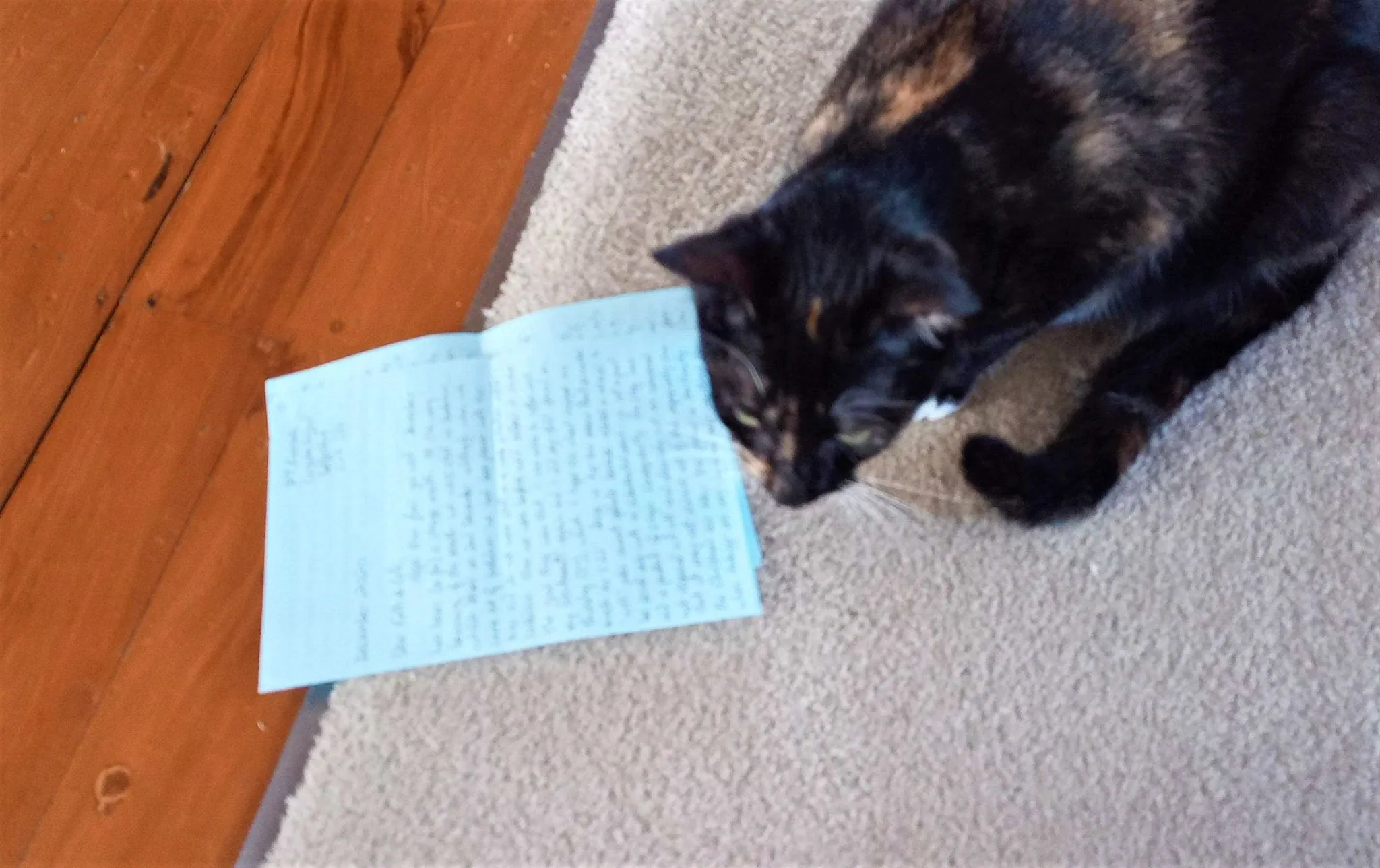 Ferne reading letter from trish